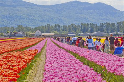 Top 23 Things To Do In Chilliwack, Canada .